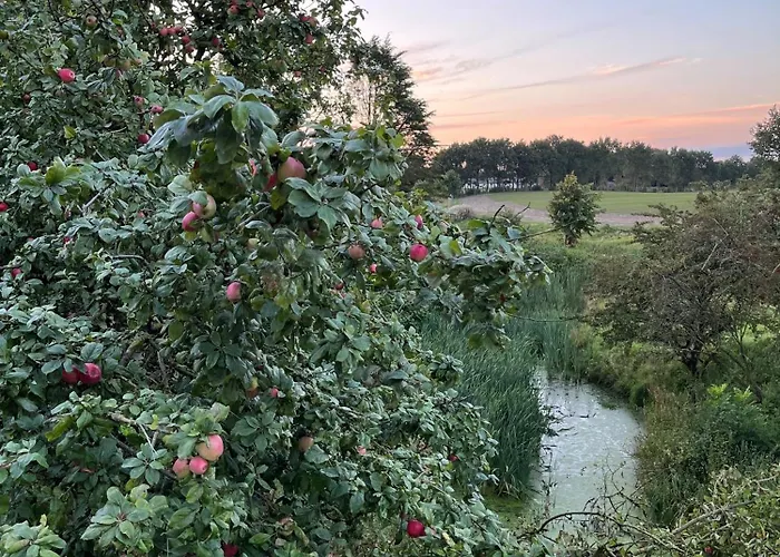 Oustrupgard Βίλα